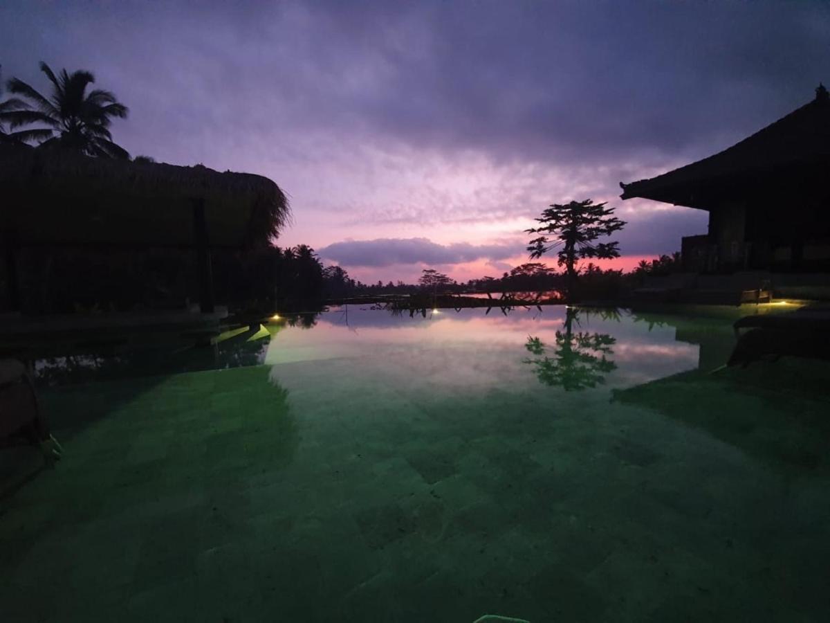 Kayangan Villa Ubud تيغالالانغْ المظهر الخارجي الصورة